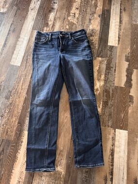 Silver Jeans Indigo Slim Straight Jeans